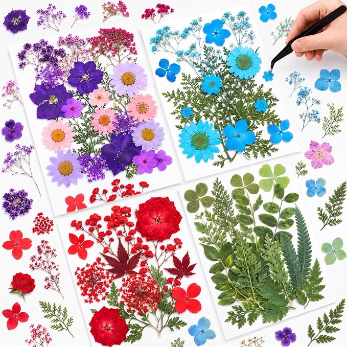 Nuanchu Natural Dried Pressed Flowers Bulk for Craft Resin DIY