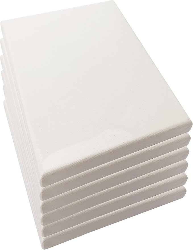 LWR CRAFTS Stretched Canvas 4" X 6" Pack of 6