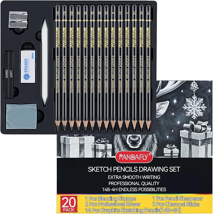 PANDAFLY Drawing Sketching Pencil Set, 20 Piece, 4H-14B Graphite Pencils | Pro Art Pencil Kit with Charcoal Sticks, Erasers, Sharpener, Blending Stump, Artist Pencils For Beginners & Pro Artists