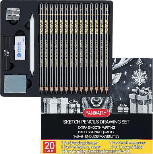 PANDAFLY Drawing Sketching Pencil Set, 20 Piece, 4H-14B Graphite Pencils | Pro Art Pencil Kit with Charcoal Sticks, Erasers, Sharpener, Blending Stump, Artist Pencils For Beginners & Pro Artists