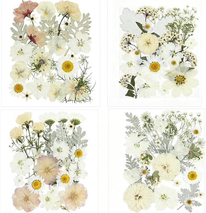 100PCS Stylifeo Natural Dried Pressed Flowers Leaves for Resin Molds Crafts