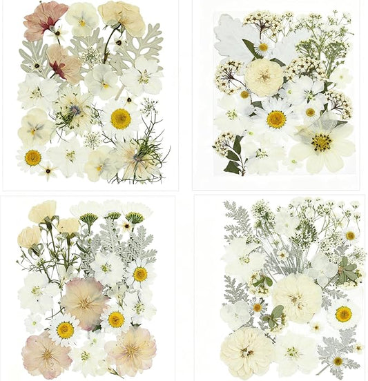 100PCS Stylifeo Natural Dried Pressed Flowers Leaves for Resin Molds Crafts