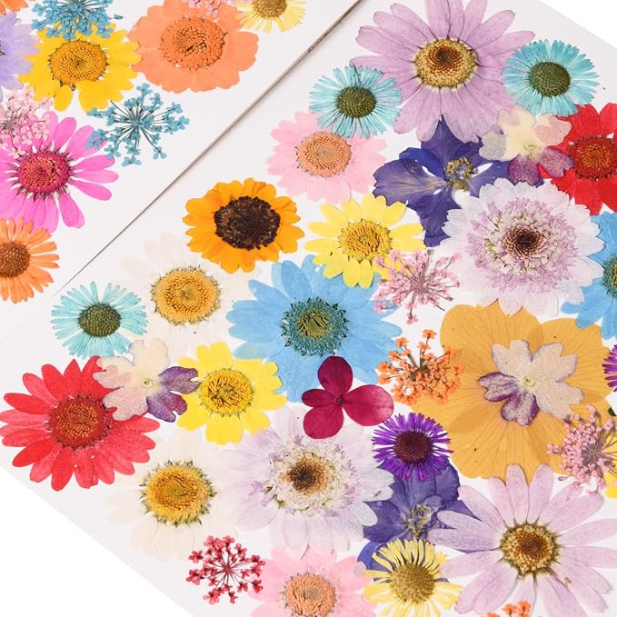 80PCS Multicolor Pressed Dried Flowers Dry Leaves