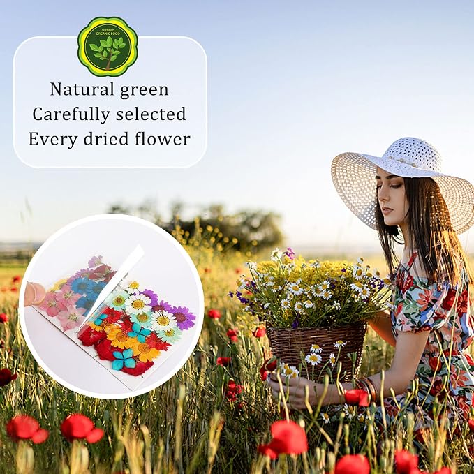 Augshy 141Pcs Dried Pressed Flowers for Resin, Natural Dried Flowers Real Pressed Flower for Crafts, Resin Mold Scrapbooking, Candle, Soap Making DIY, Epoxy Resin Supplie