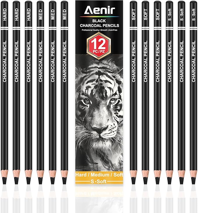 Aenir Charcoal Pencils for Drawing,（S-Soft, Soft, Medium, Hard 12 Pieces | Charcoal Drawing Pencils for Drawing, Sketching, Shading, Smooth, Art Supplies for Artist and Beginners