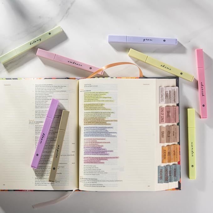 DIVERSEBEE Bible Highlighters with Soft Chisel Tip, No Bleed (Figs)