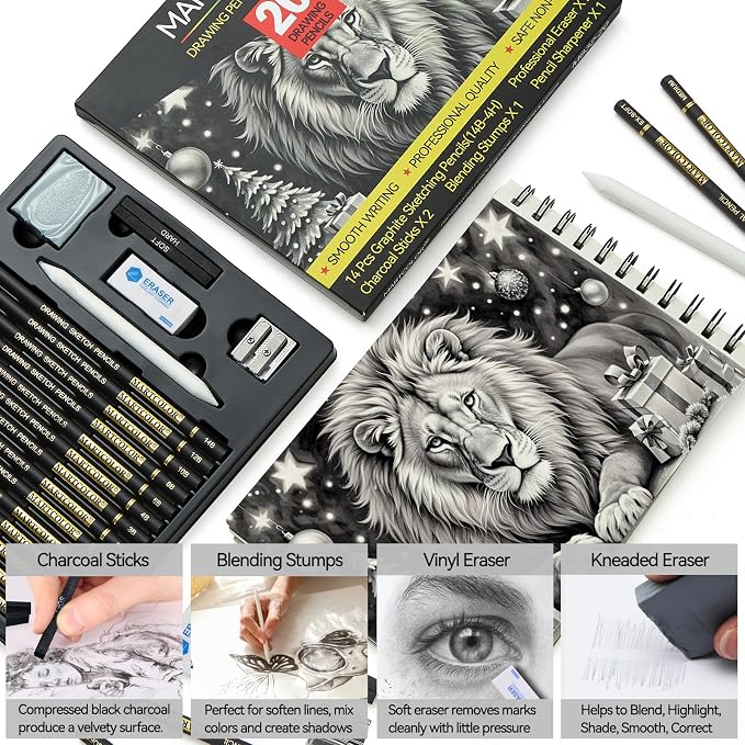 MARTCOLOR Drawing Sketching Pencil Set, 20 Pack Graphite Pencils (14B-4H) | Charcoal Sticks, Stump, Eraser, Sharpeners, Ideal for Drawing Art, Sketching, Artist Pencils for Beginners & Pro Artists