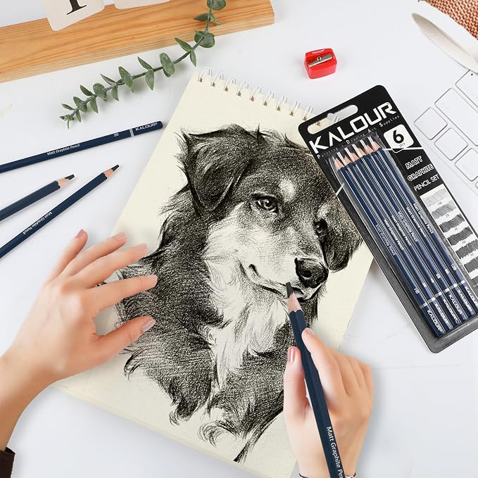 KALOUR PDAS Professional Drawing Pencils for Sketching – 6 pcs Matte Graphite Pencil Set (HB–12B), Sketch Pencil Set for Drawing, Shading & Artists