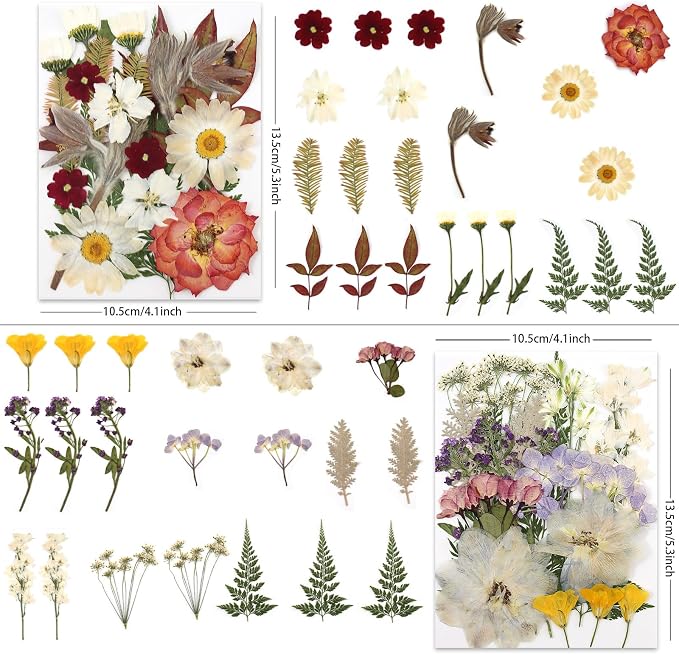 LUXEEASE 80P Vintage Pastel Dried Pressed Flowers