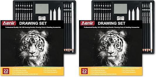 Aenir Charcoal Pencils for Drawing, Set of 22, Professional Drawing Sketch Pencils, Charcoal Art Supplies for Sketching, Shading, Artist Charcoal Supplies for Beginners & Pro Artists. (Pack of 2)