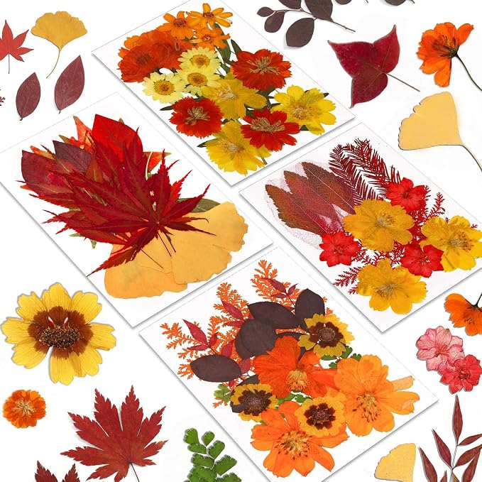 Augshy Fall Dried Pressed Flowers and Leaves for Autumn Crafts Resin DIY