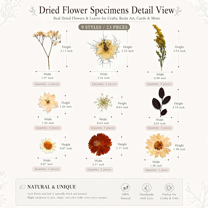 LUXEEASE 100P Vintage Warm Tone Dried Pressed Flowers