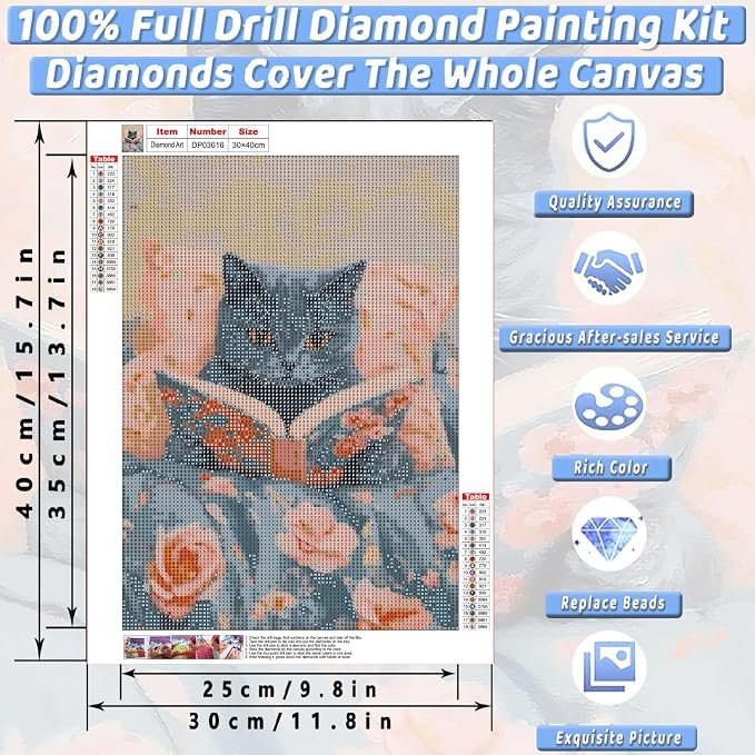 Black Cat Diamond Art Kits for Adults Diamond Painting Kit for Beginner