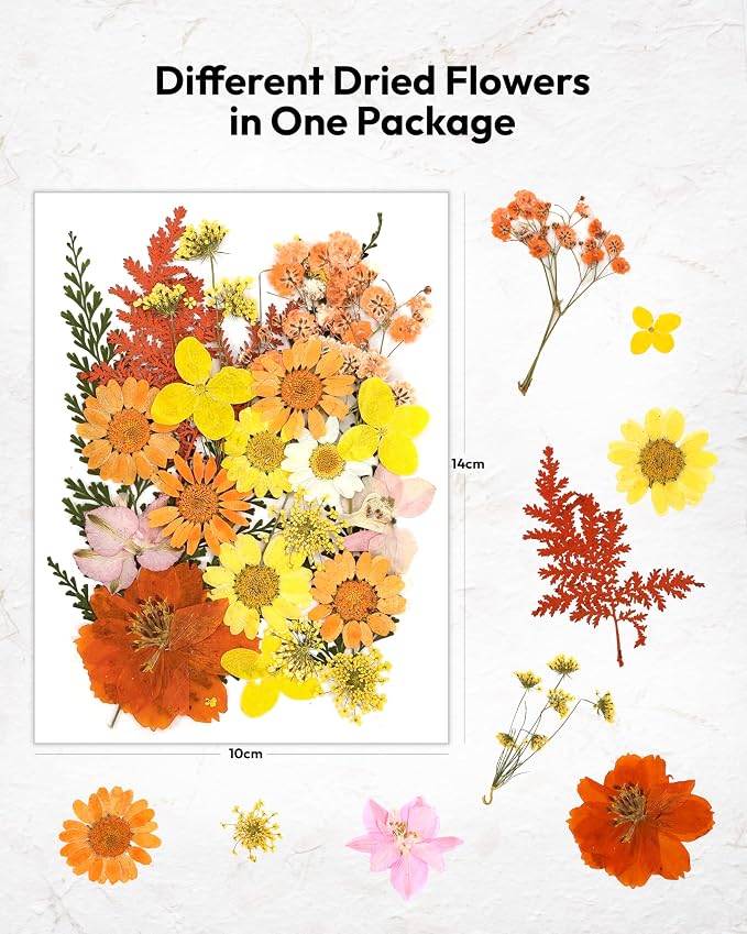 Dried Flowers, Resiners 100Pcs Pressed Flowers for Craft Yellow Real Natural Dried Flowers Dry Leaves Kit for DIY Making Crafts Resin Soap Candle Scrapbook Supplies Card Making Jewelry