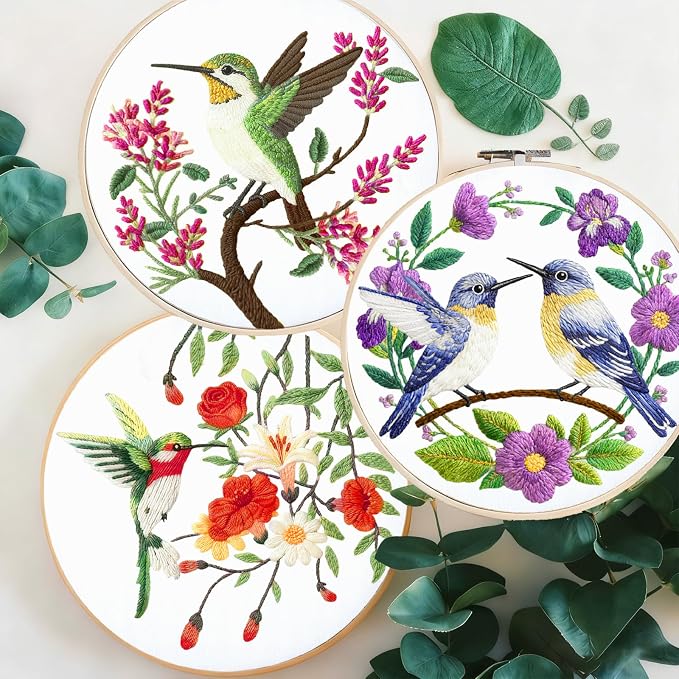 BEUNITONE 6 Set Hummingbird Starter Embroidery Kit with Pre-Stamped Pattern