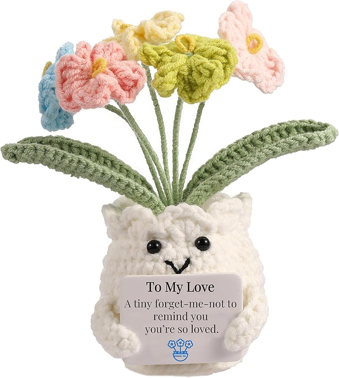 Forget-Me-Not Crochet Gifts for Him Her Boyfriend Girlfriend Birthday to My Love Handmade Valentines Day Flower Plant Gift for Women Men Romantic I Love You Gift for Couples Wife Husband
