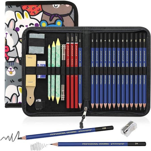 25 Pack Sketching Pencil Set with Cartoon Case, Graphite Drawing Pencils Kit with Charcoal, Blending Stumps & Erasers, Professional Art Supplies for Artists, Beginners, Shading