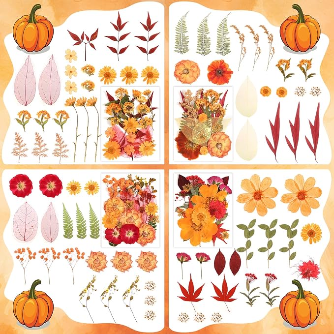 170 PCS Fall Dried Pressed Flowers with Tweezers, Real Nature Dried Flowers Orange Autumn Pressed Florals Set for Resin Scrapbooking Vase Candle Making Card Scrapbook Craft Floral Decors