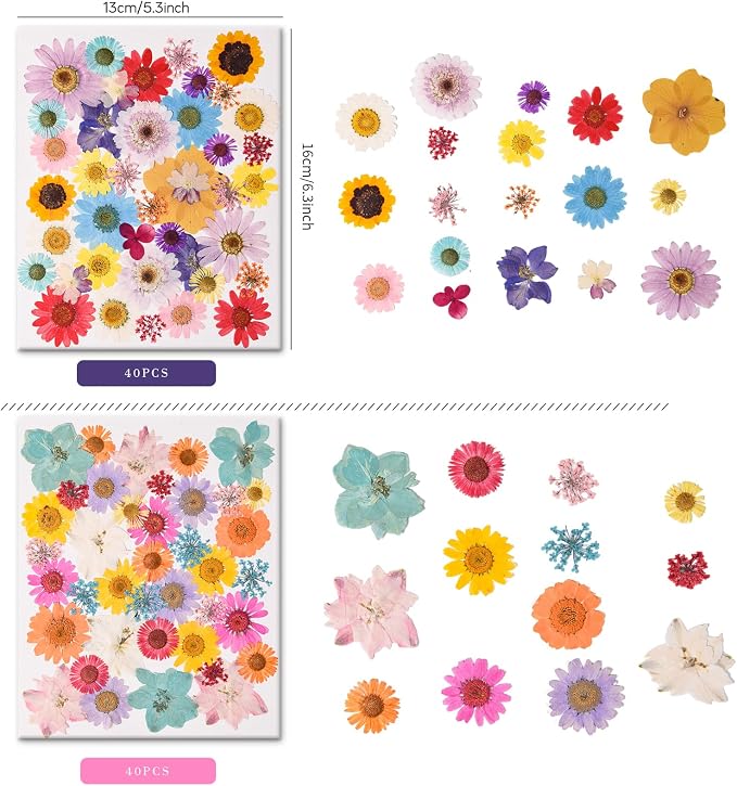 80PCS Multicolor Pressed Dried Flowers Dry Leaves