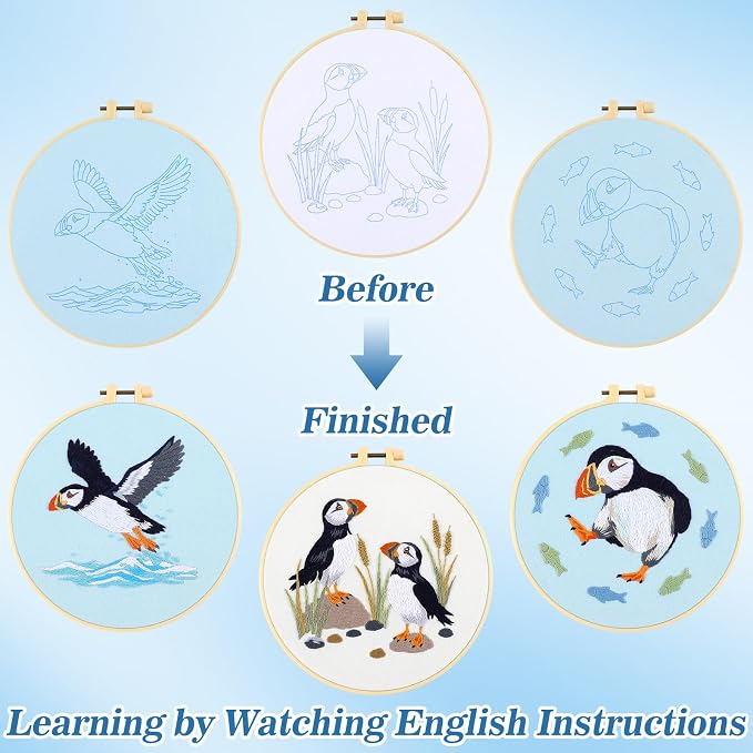 Mindsoft 3 Set Needlepoint Kit for Beginners with Hoop,Sea Bird | Bamboo Hoop Thread Needles Instructions, Easy Hand Embroidery for Beginners Home Crafts,Pre-stamped Funny Cute Designs