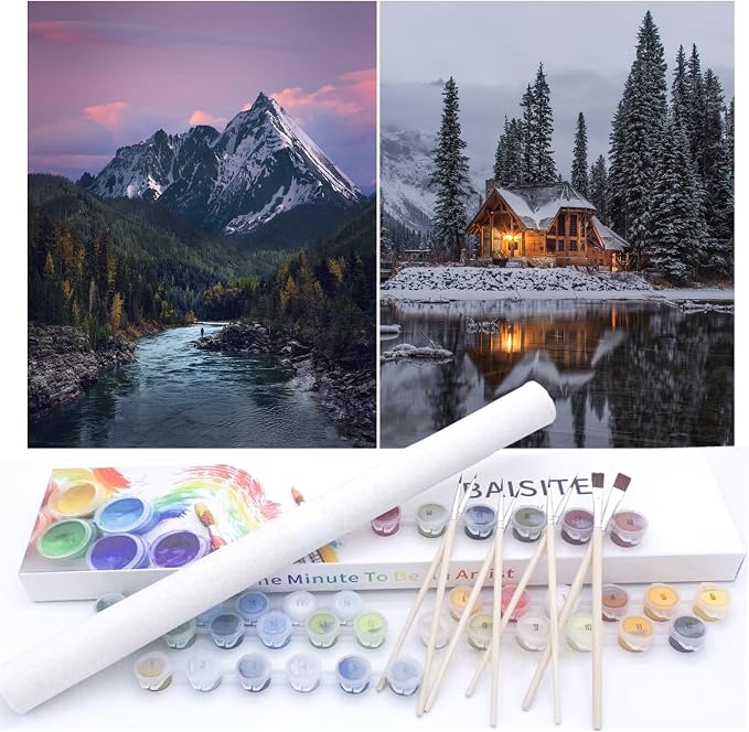 BAISITE Paint by Numbers Kit for Adults Beginners,12" Wx16 L 2 Pack Canvas for Painting Kits for Adults in Colorful Box-PBN219-220