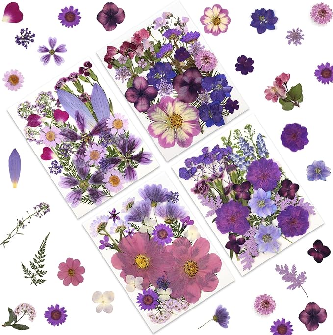 LUXEEASE 100P Purple Dried Pressed Flowers