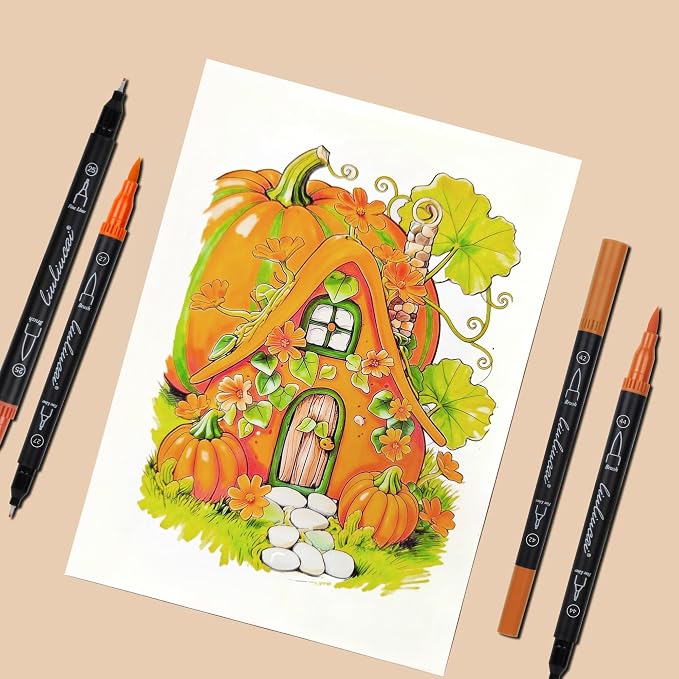 LIULIUCAI 10 Orange Dual Marker, Fine & Brush Tip Pen for Adult Coloring