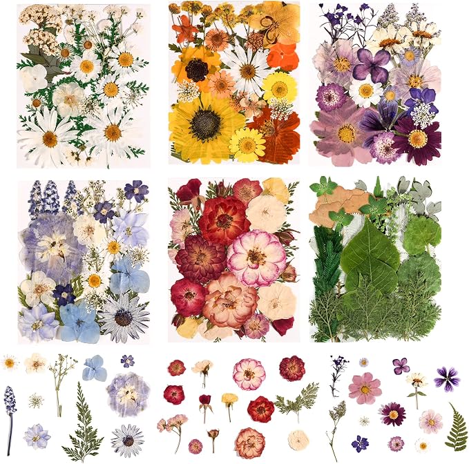 150PCS Pressed Dried Flowers Dry Leaves for DIY Crafts, Colorful