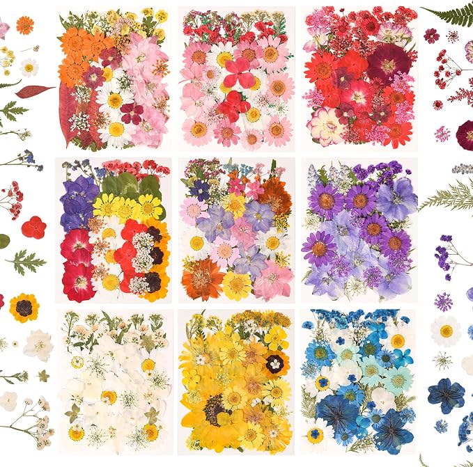330PCS Natural Color Pressed Dried Flowers for DIY Crafts Corlor-9