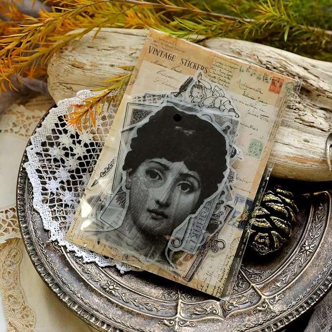 CATaireen Vintage Junk Journal Ephemera Scrapbooking Supplies Translucent Vellum Paper Stickers Card Making Decal Art Aesthetic for Adults (Character Dark -3)