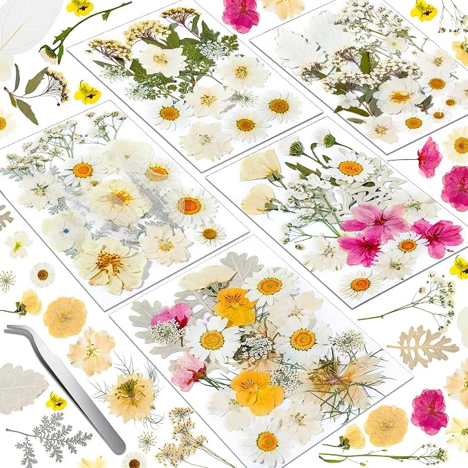 Dried Pressed Flowers for Resin, Real Pressed Flowers Dry Leaves Bulk Natural Herbs Kit for Scrapbooking Art Crafts Epoxy Resin Jewelry Mold Candle Soap Making Nails Décor (White & Pink Floral)