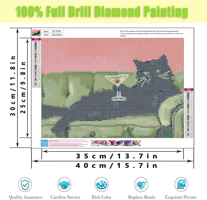 Diamond Art Kits for Adults,Black Cat Diamond Painting Kits 12X16 Inch