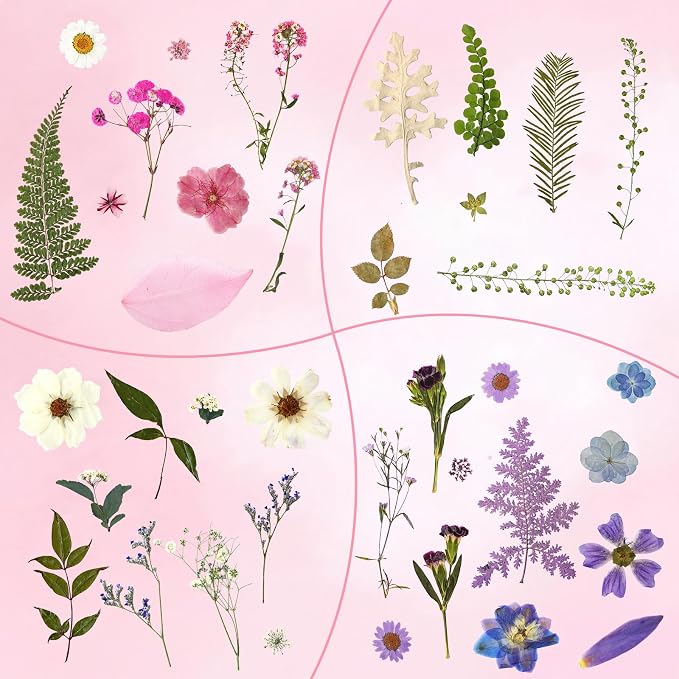 Augshy Dried Pressed Flowers Dry Leaves, 80 Pcs Real Pressed Flowers Leaves for Resin Molds Assorted Pink Blue White Flower for Crafts DIY Jewelry Molds, Scrapbooking, Candle