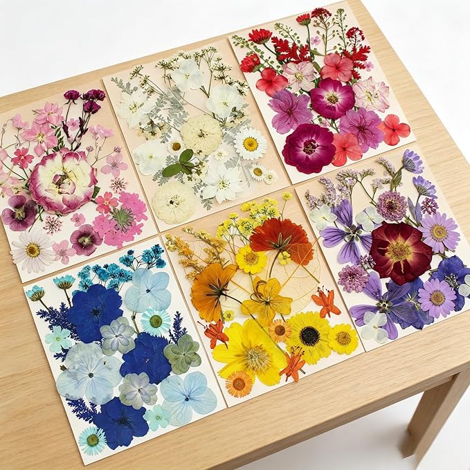 Real Nature Dried Pressed Flowers Leaves(120PcsPink White Purple)