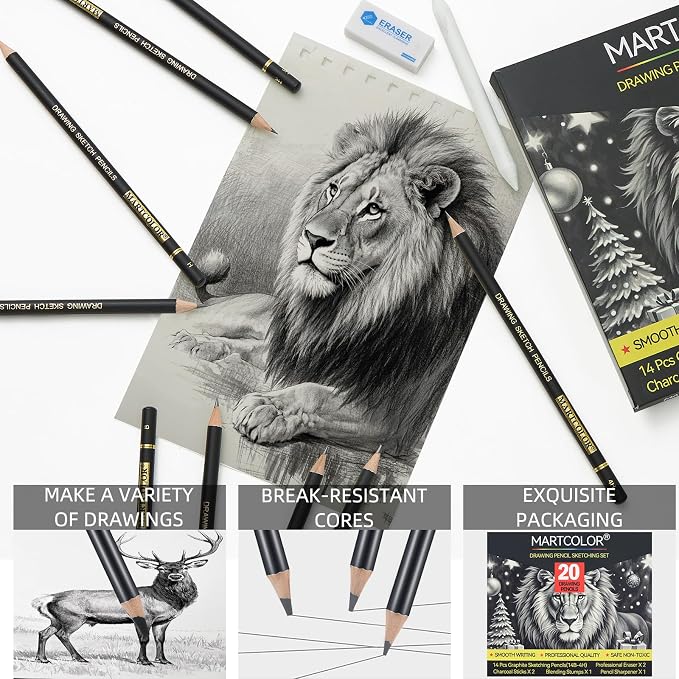 MARTCOLOR Drawing Sketching Pencil Set, 20 Pack Graphite Pencils (14B-4H) | Charcoal Sticks, Stump, Eraser, Sharpeners, Ideal for Drawing Art, Sketching, Artist Pencils for Beginners & Pro Artists