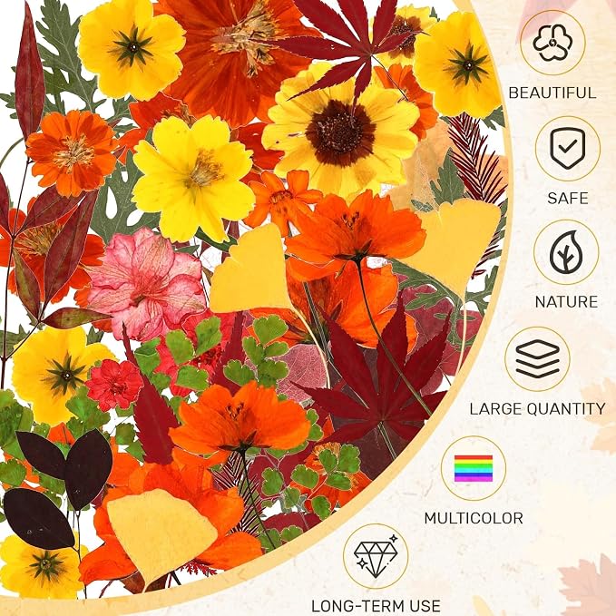 Augshy Fall Dried Pressed Flowers and Leaves for Autumn Crafts Resin DIY