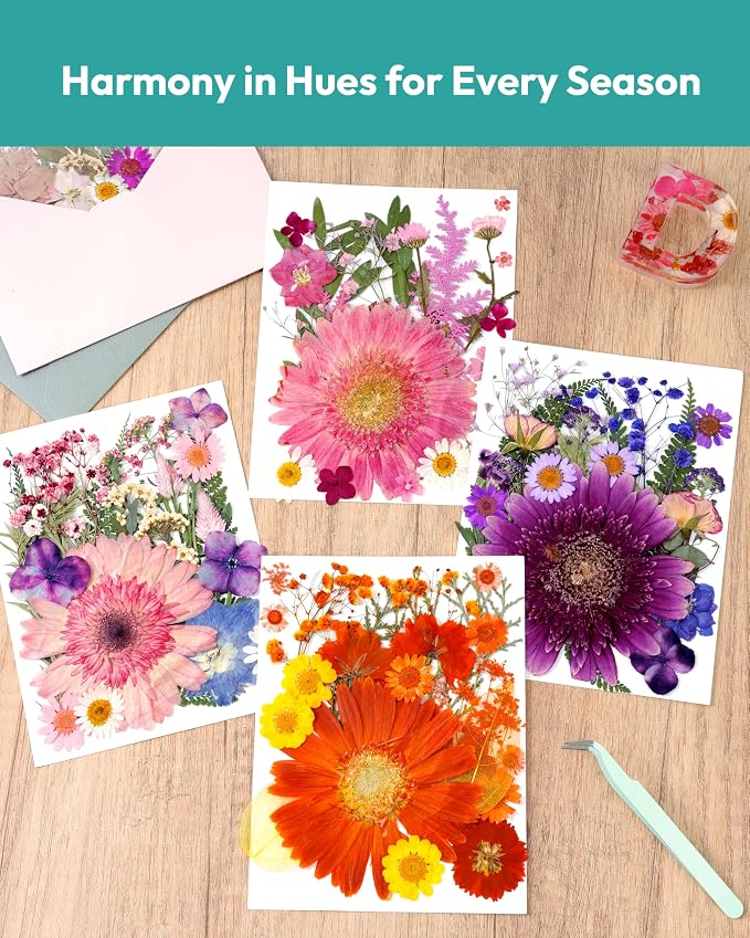 Dried Pressed Flowers, Resiners Dried Flowers for Candle Making Real Natural Pressed Flowers Dry Leaves Kit for DIY Crafts Resin Soap Scrapbook Card Making Jewelry (Gerbera Daisy 100pcs)
