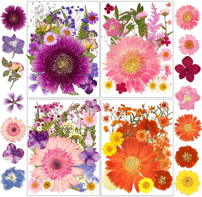 Dried Pressed Flowers, Resiners Dried Flowers for Candle Making Real Natural Pressed Flowers Dry Leaves Kit for DIY Crafts Resin Soap Scrapbook Card Making Jewelry (Gerbera Daisy 100pcs)