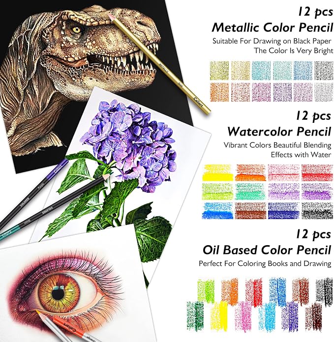 Caliart 176PCS Art Supplies Sketching Kit, 100 Sheets 3-Color Sketch Book | Graphite Colored Charcoal Watercolor & Metallic Pencils, Drawing Supplies Set Gifts for Adults Teens Girls Boys Kids