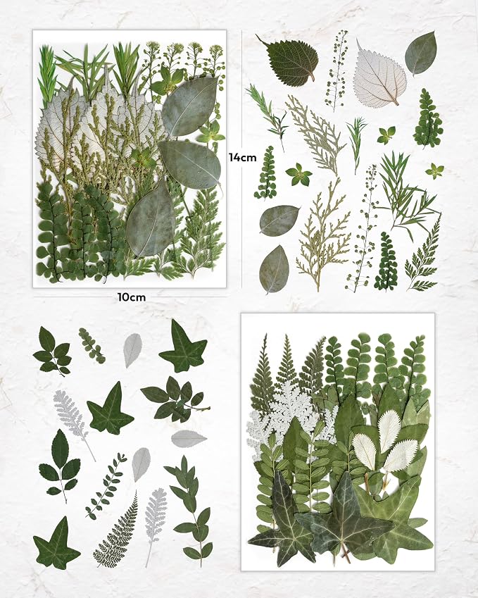 Resiners Dried Pressed Flowers for Resin Molds, Real Natural Dried Flowers Dry Leaves kit for Scrapbook Supplies Card Making Resin Jewelry Making Soap Candle DIY Crafts (Green Leaves100pcs)