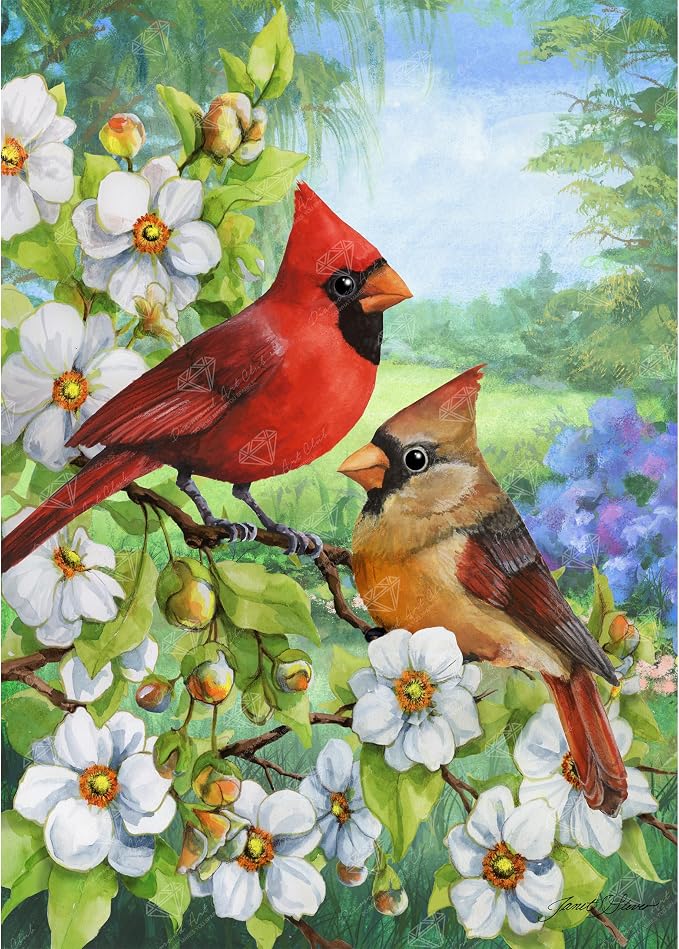 DIAMOND ART CLUB Cardinal Couple Diamond Art Kits for Adults