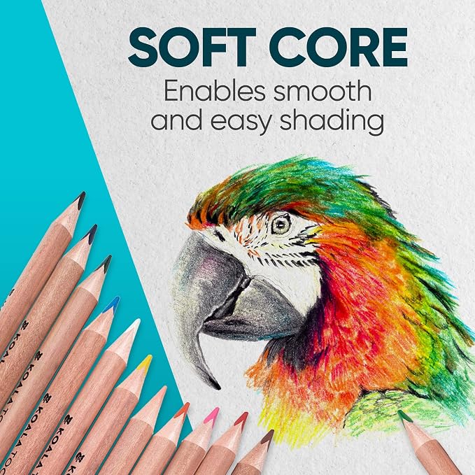 Koala Tools - Bear Claw Colored Pencils for Adults and Kids, Water Soluble Color Pencils with Triangular Grip for Art and Shading, Large Coloring Pencils, Pack of 12