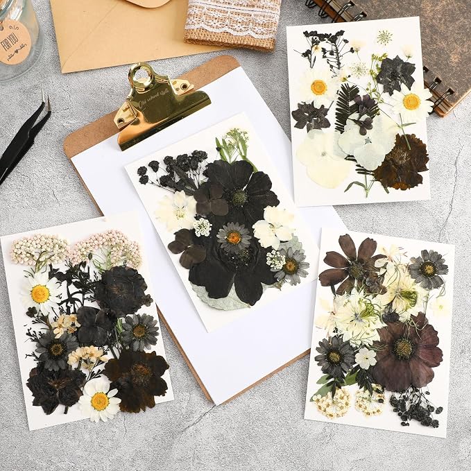 Augshy 72Pcs Black Pressed Flowers for Crafts Halloween Dried Flowers Bulk