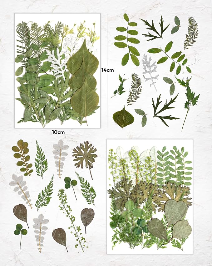 Resiners Dried Pressed Flowers for Resin Molds, Real Natural Dried Flowers Dry Leaves kit for Scrapbook Supplies Card Making Resin Jewelry Making Soap Candle DIY Crafts (Green Leaves100pcs)