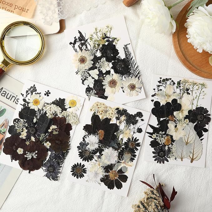 Augshy Black Dried Pressed Flowers, 120 Pcs Halloween Dried Flowers for Resin Molds Real Pressed Flowers for Crafts DIY Jewelry Molds, Scrapbooking, Candle, Soap Making