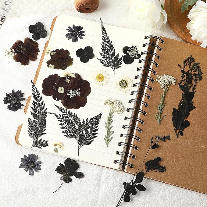 Augshy Black Dried Pressed Flowers, 120 Pcs Halloween Dried Flowers for Resin Molds Real Pressed Flowers for Crafts DIY Jewelry Molds, Scrapbooking, Candle, Soap Making