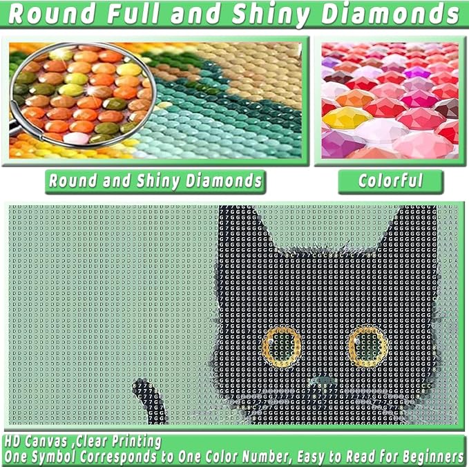 Black Cat Diamond Art Kits for Adults Diamond Painting Kit for Beginner