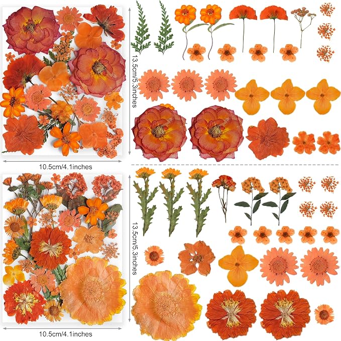 150PCS Orange Fall Dried Pressed Flowers with Butterfly Stickers - Youthbro Real Nature Flowers Set for Resin DIY Jewelry Candle Soap Vase Making Nail Card Scrapbook Art Craft Floral Decors