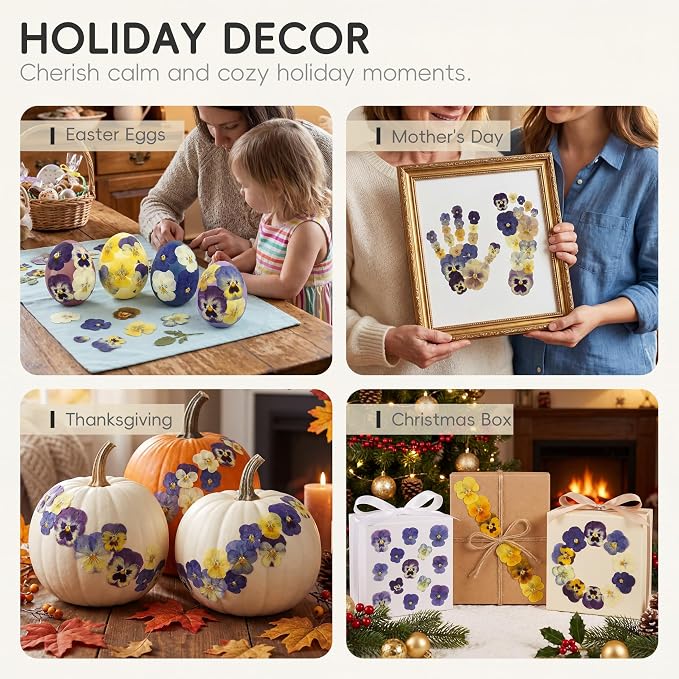 LUXEEASE 8 Color 64P Pansy Dried Pressed Flowers