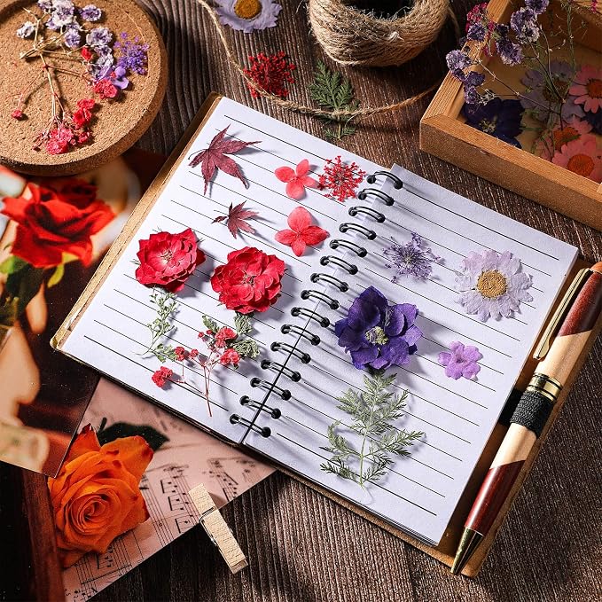 Nuanchu Natural Dried Pressed Flowers Bulk for Craft Resin DIY